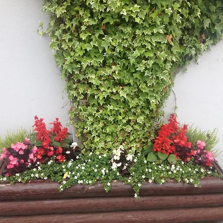 Carragh House Castlebar